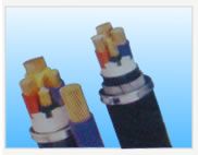 聚氯乙烯絕緣電線(xiàn)